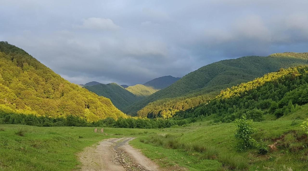 Casuta Din Rusca Villa Sebesu de Jos Exteriör bild