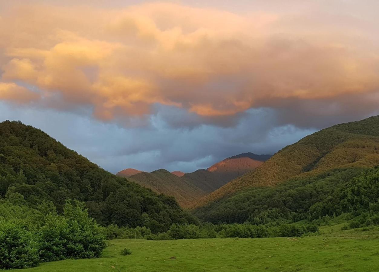 Casuta Din Rusca Villa Sebesu de Jos Exteriör bild