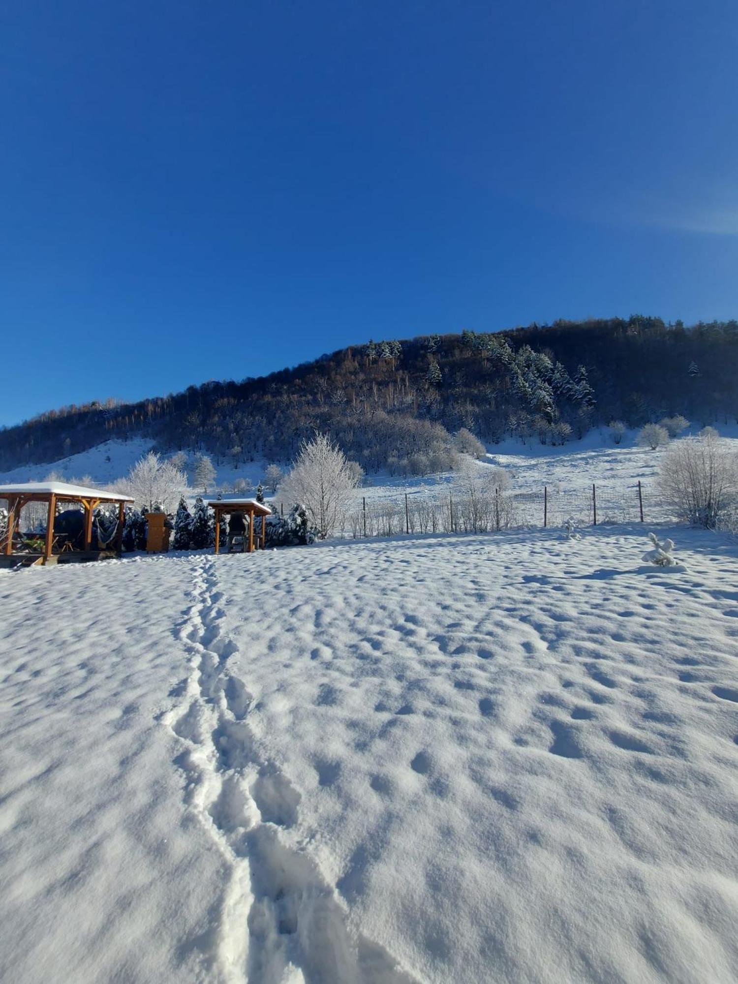 Casuta Din Rusca Villa Sebesu de Jos Exteriör bild